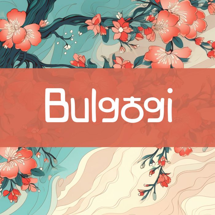 bulgogi3